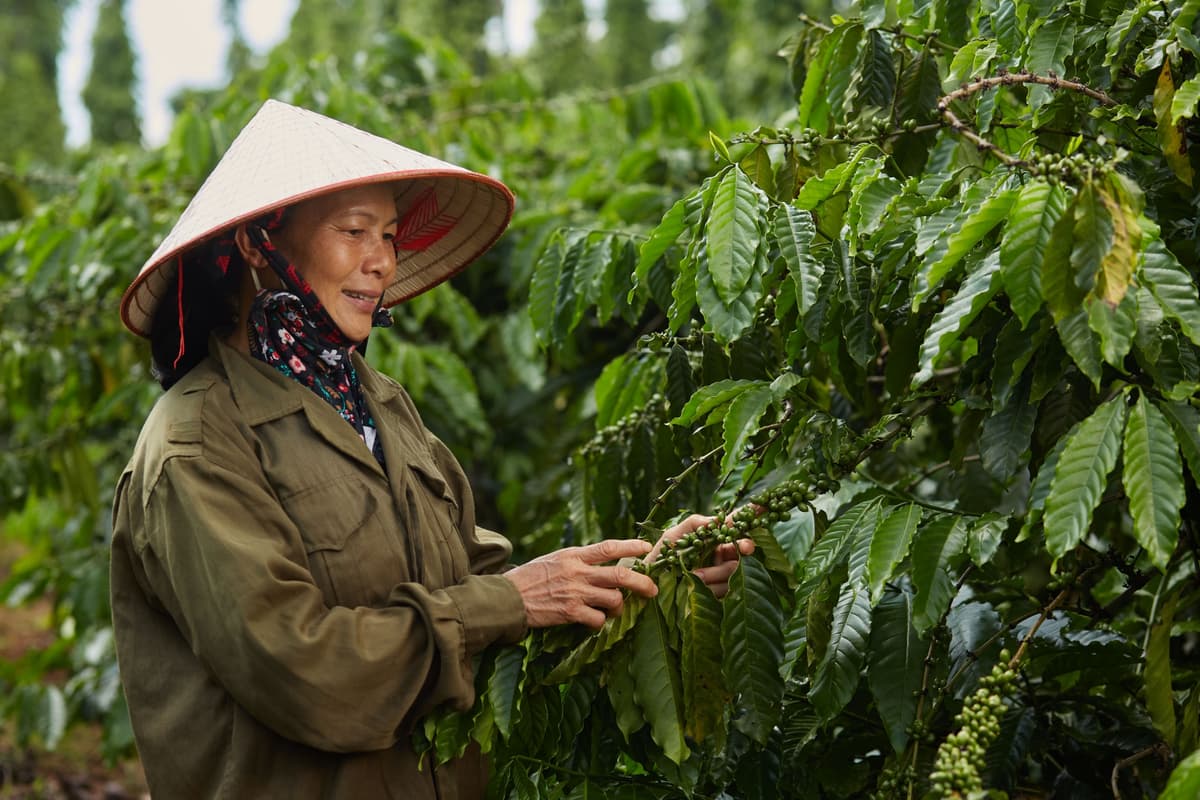 Vietnamese Coffee Culture: More Than Just a Drink